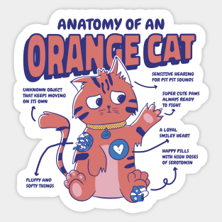 Orange Cat Anatomy Funny Kawaii Sticker
